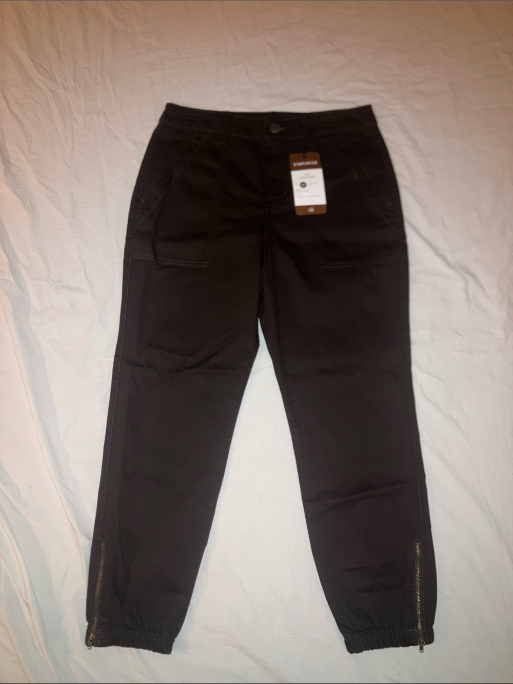 CAbi Chocolate Brown Compass Pant Jogger Pants with Ankle Zips